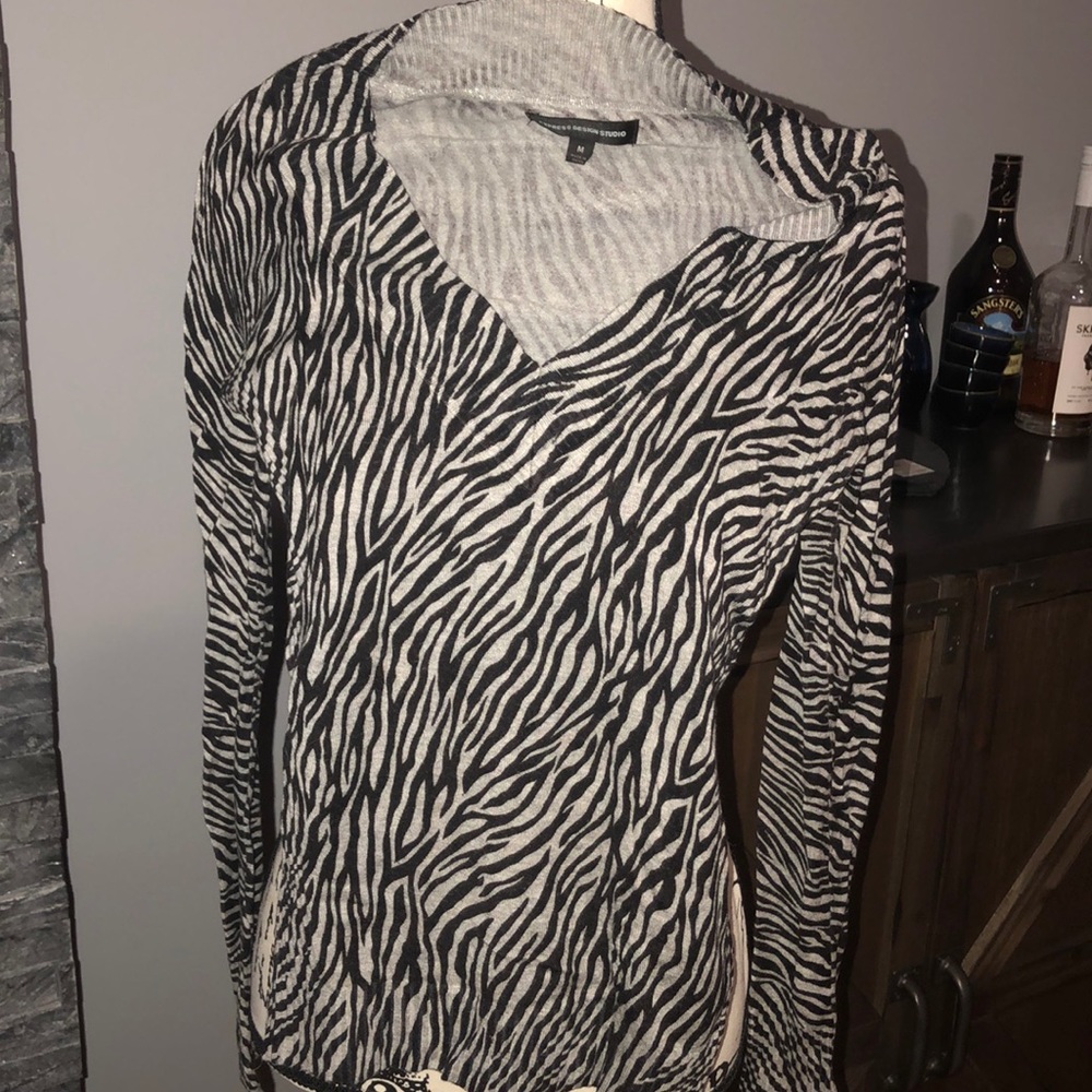 Express v neck sweater